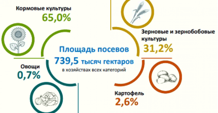 Инфографика «Посевные площади и валовые сборы сельскохозяйственных культур, многолетние насаждения в Пермском крае в 2019 году»